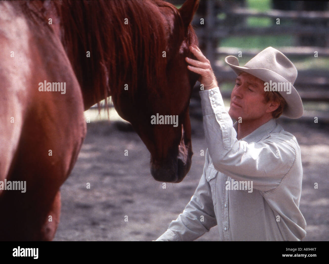 THE HORSE WHISPERER 1998 Buena Vista film with Robert Redford Stock