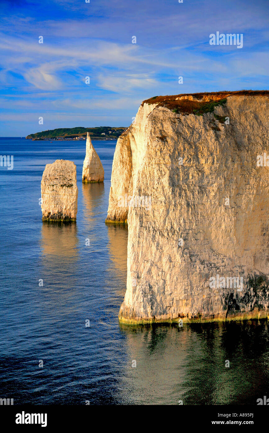 The Pinnacles Sea Stacks Swanage Bay Jurassic coast Dorset England Britain UK Stock Photo