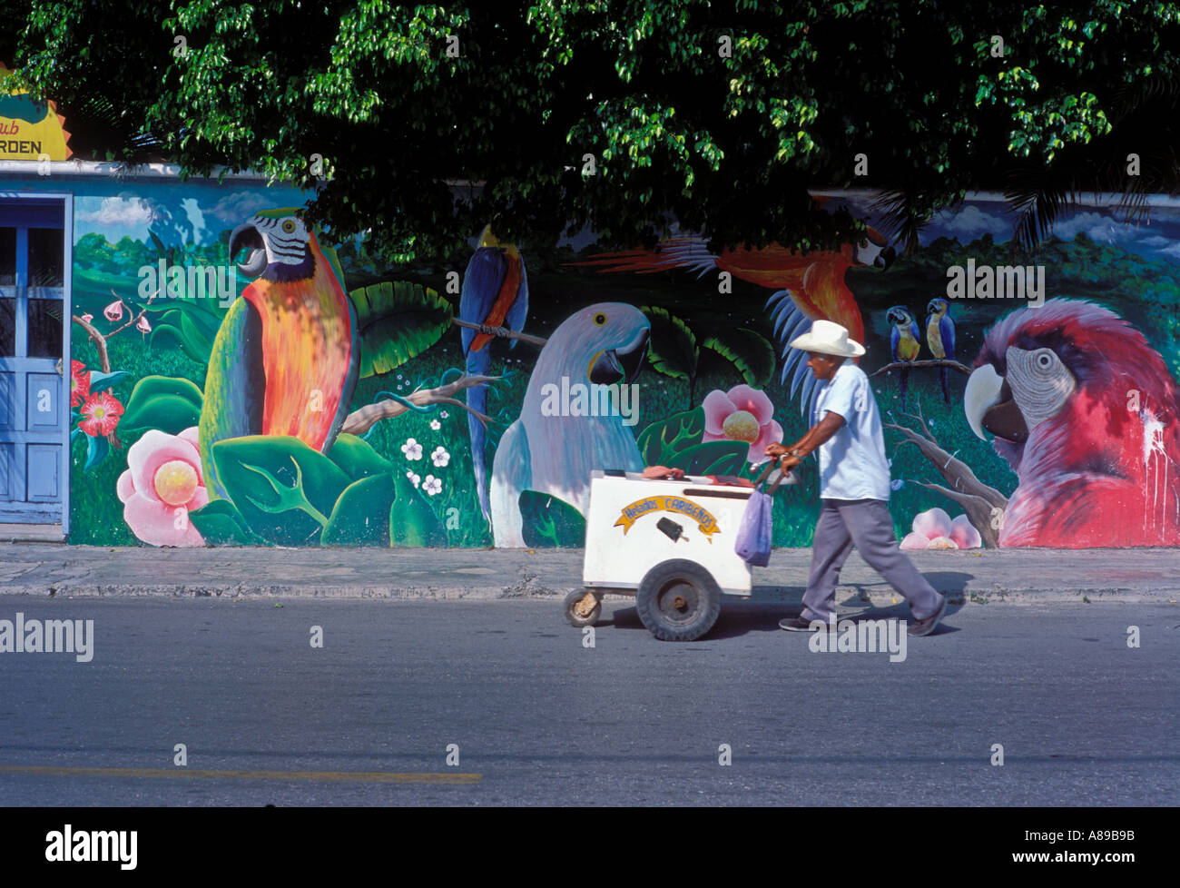 Mexico Cozumel Ice cream vendor pushing cart in front of tropical painted wall Stock Photo