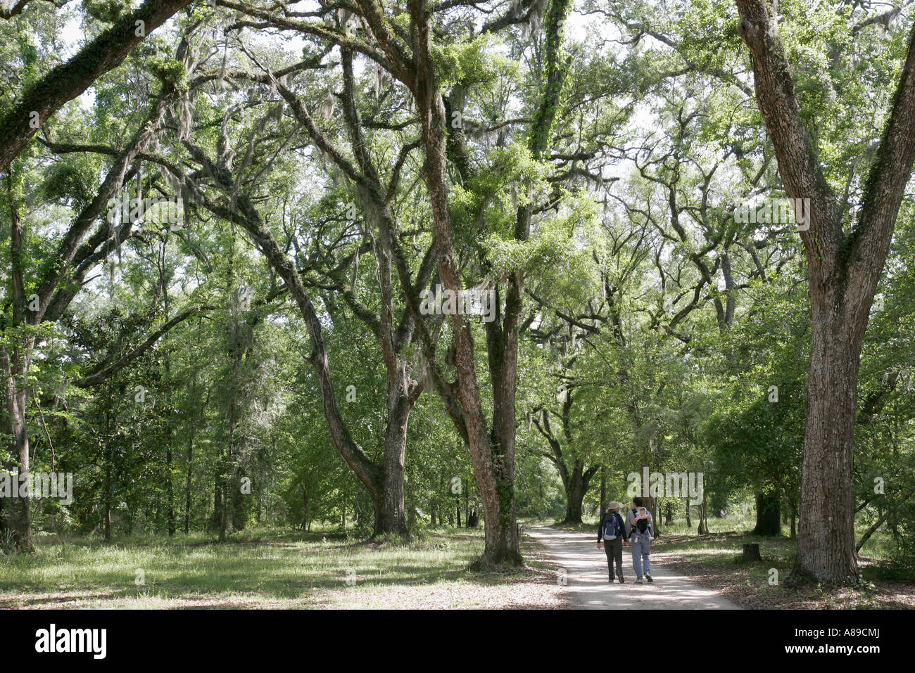 Alabama Baldwin County,historic Blakeley State Park,Tensaw River water