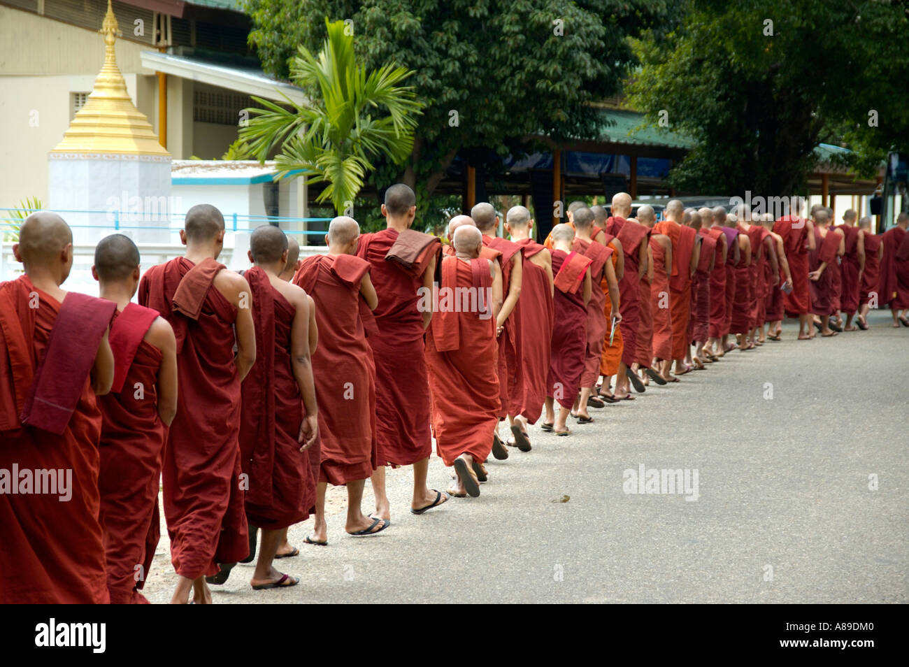Many Buddhist monks stand in line Mahasi Meditation Centre Yangon Burma