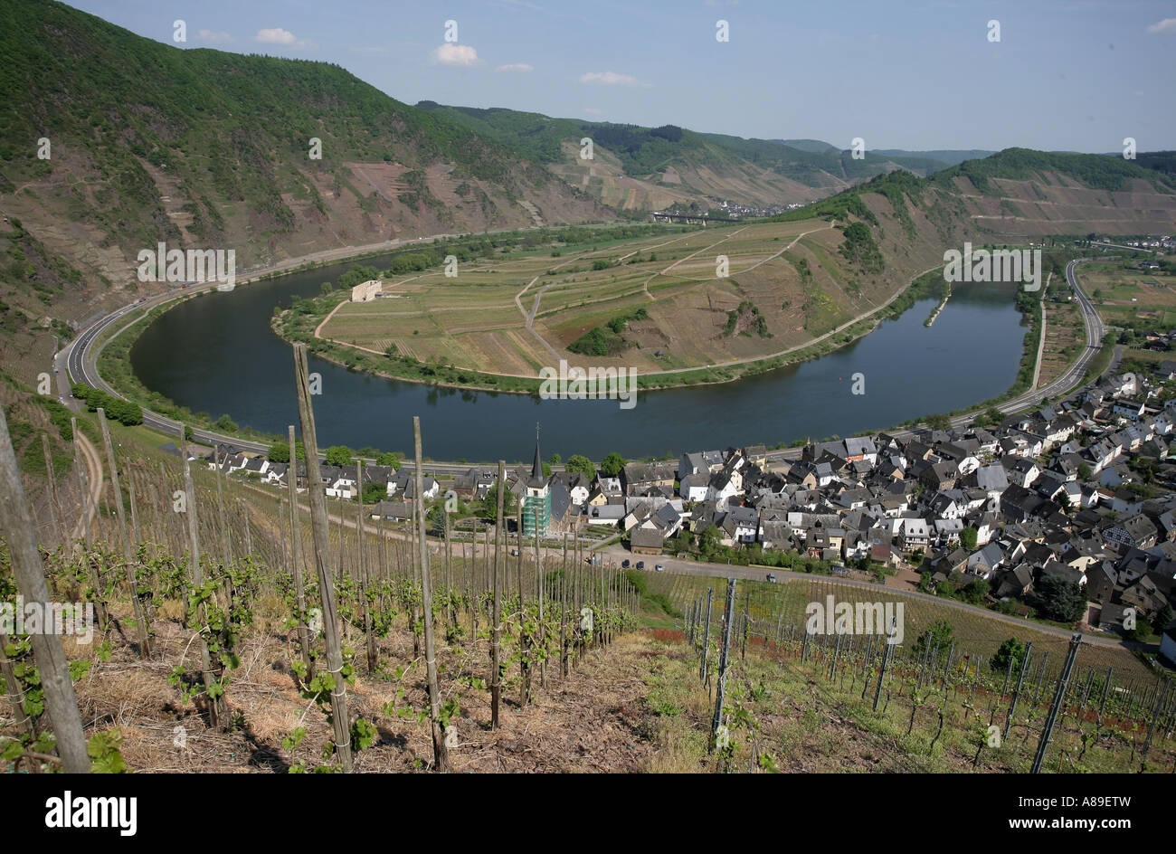 Vineyard near Bremm in the moselle valley, Rhineland-Palatinate Germany Stock Photo