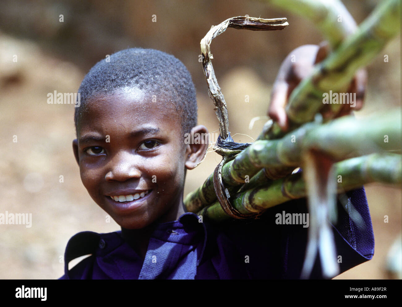 Boy with bamboo in Rwanda Africa Stock Photo