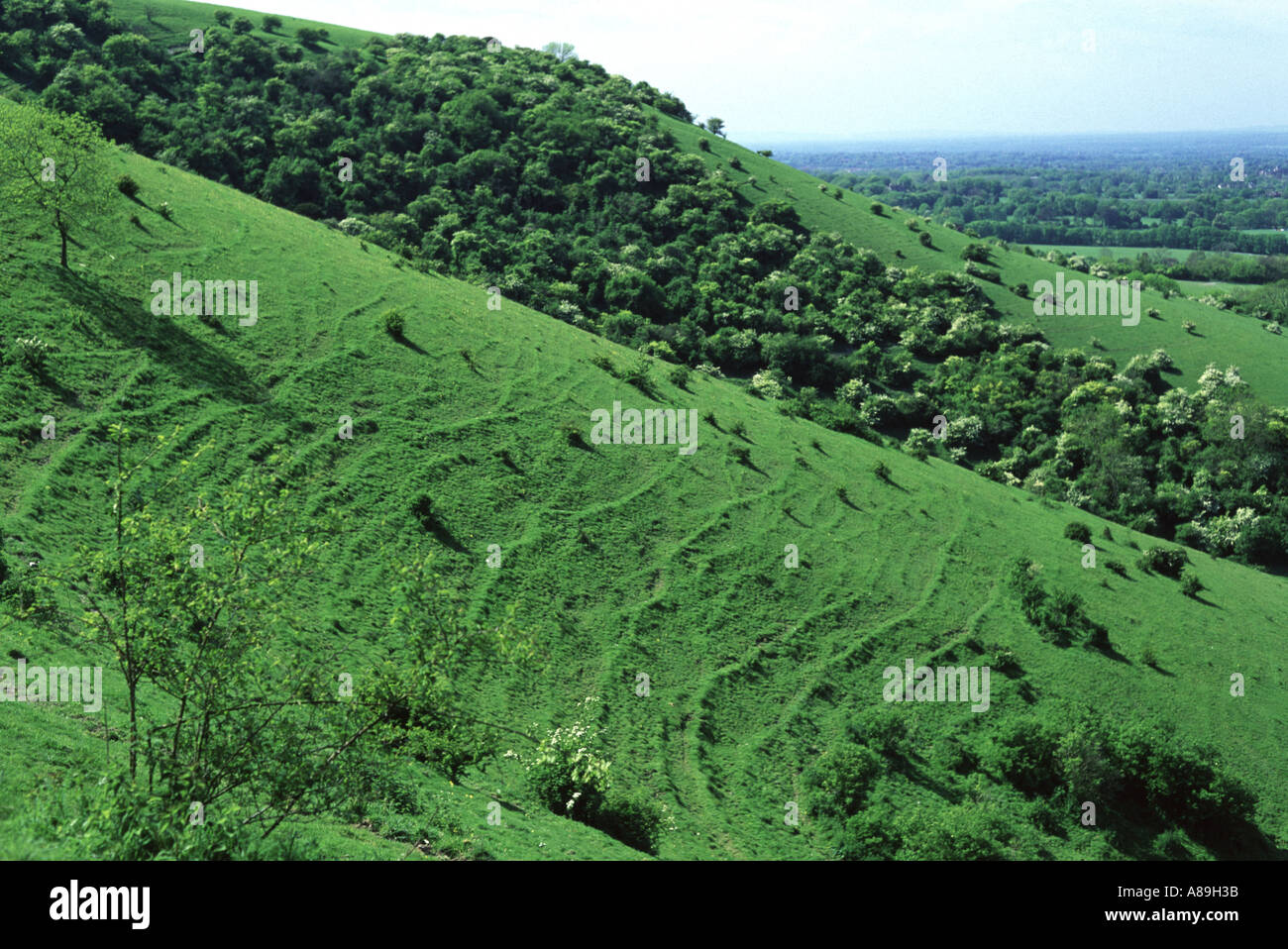 South Downs Scarp slope near Plumpton Stock Photo