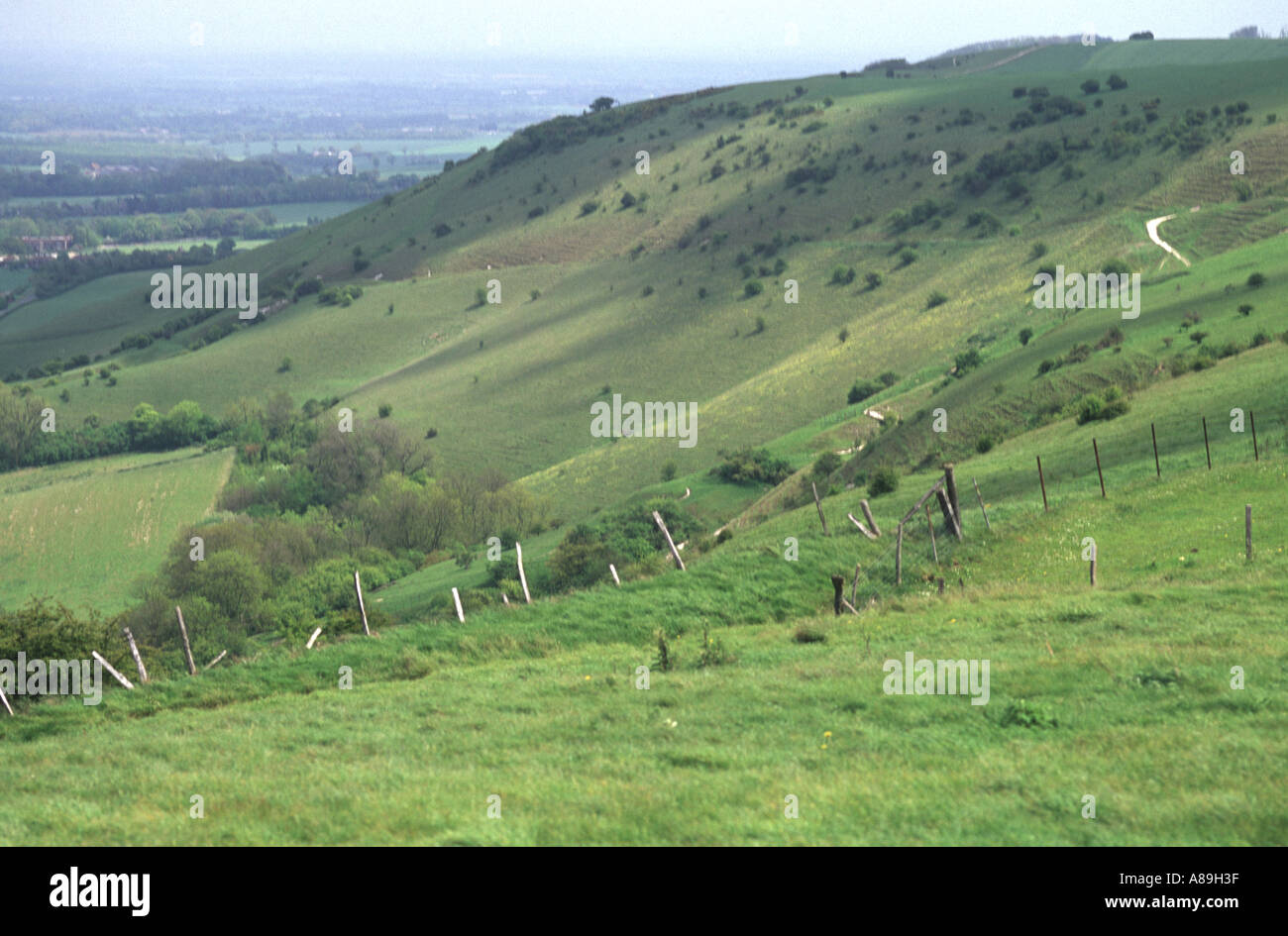 South Downs Scarp slope near Ditchling Stock Photo