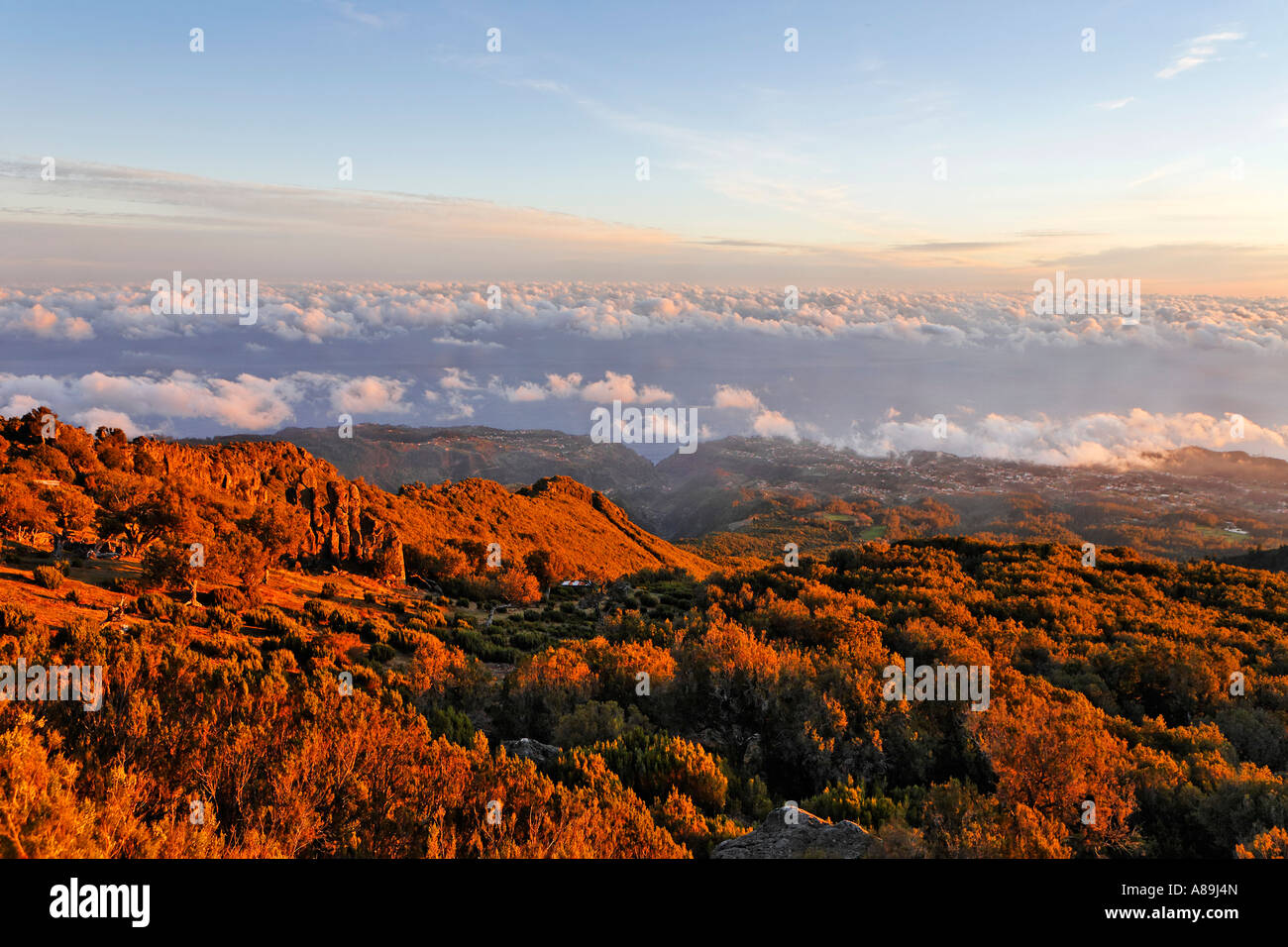 Mark and leigh teixeira hi-res stock photography and images - Alamy