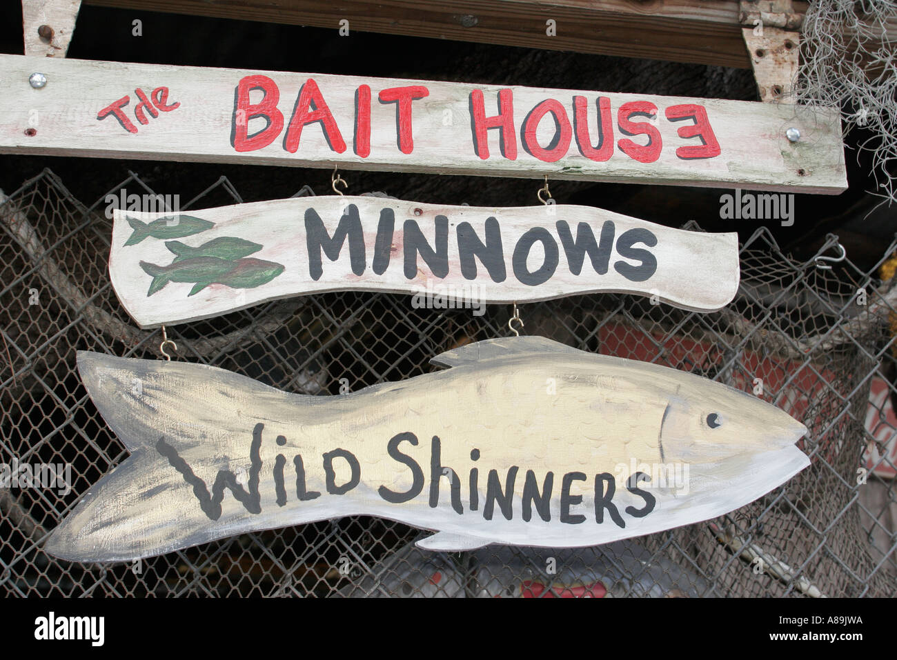 wild shiners