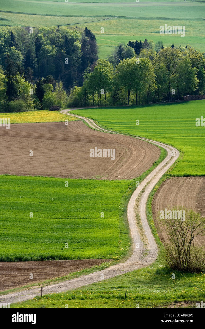Landscape in spring, Sense district, canton, Fribourg, Switzerland Stock Photo
