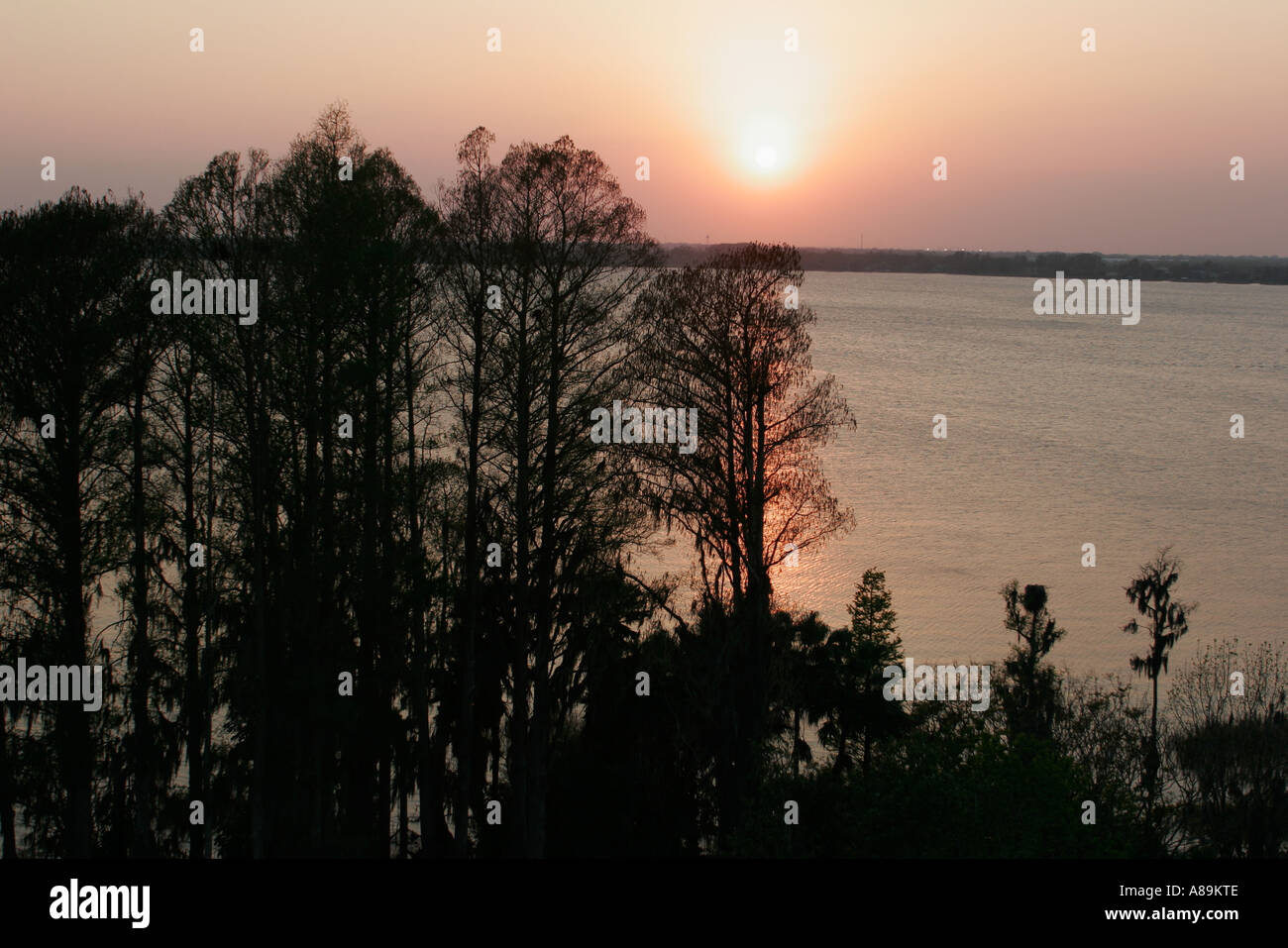 Winter Haven Florida,Cypress Gardens Adventure Park,amusement,theme