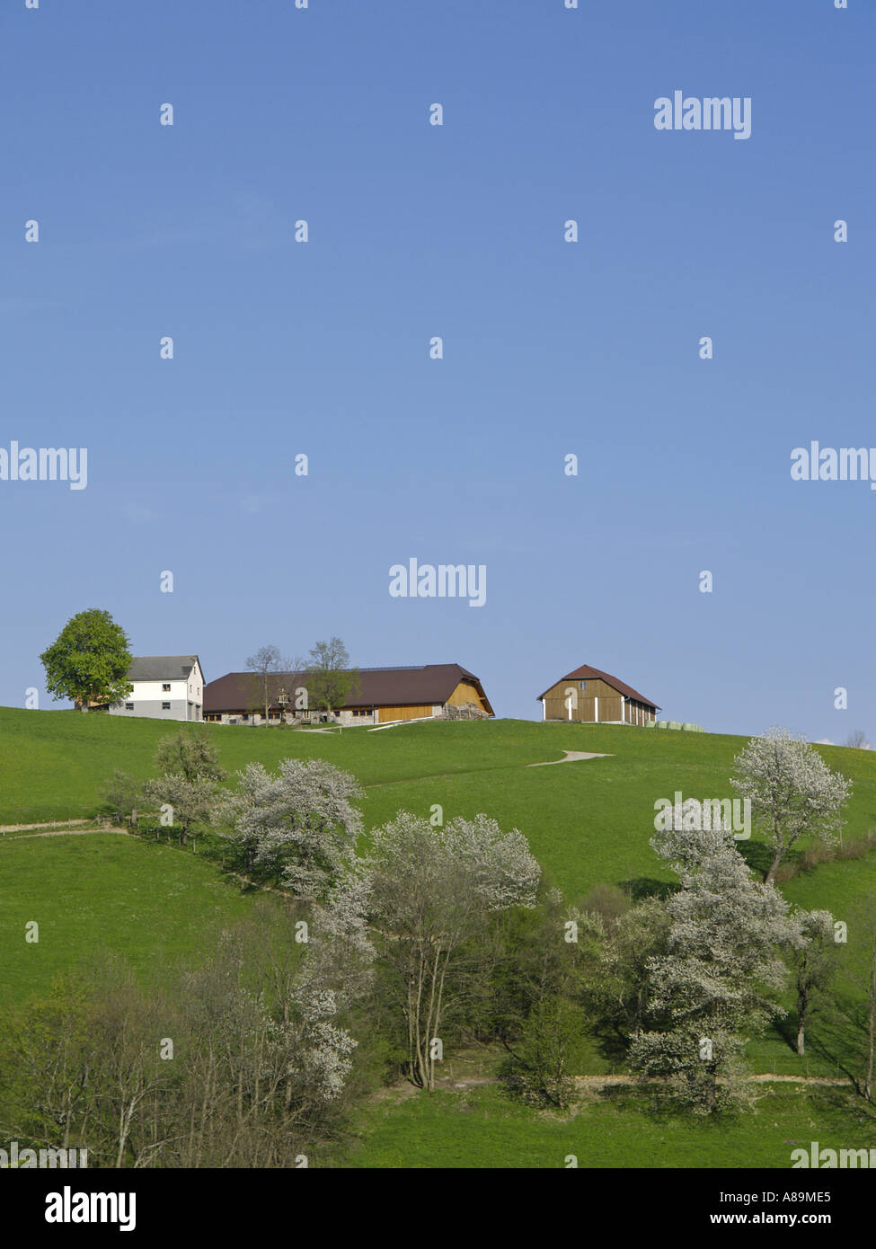 farm on a hill Stock Photo - Alamy