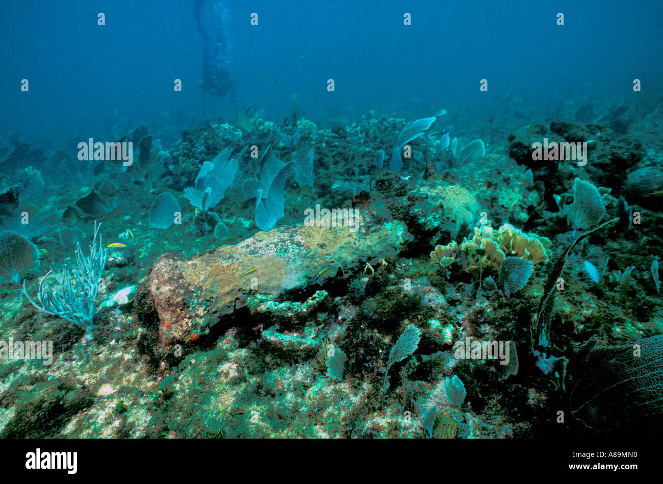 Sunken galleon hi-res stock photography and images - Alamy