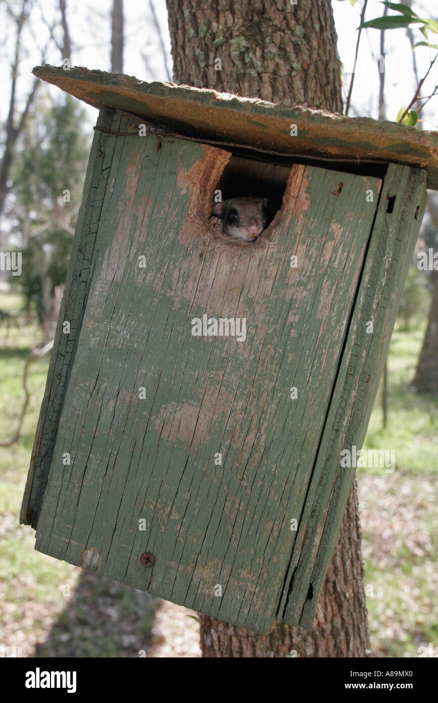 Gainesville Florida,Dudley Farm historical history State Park,19th