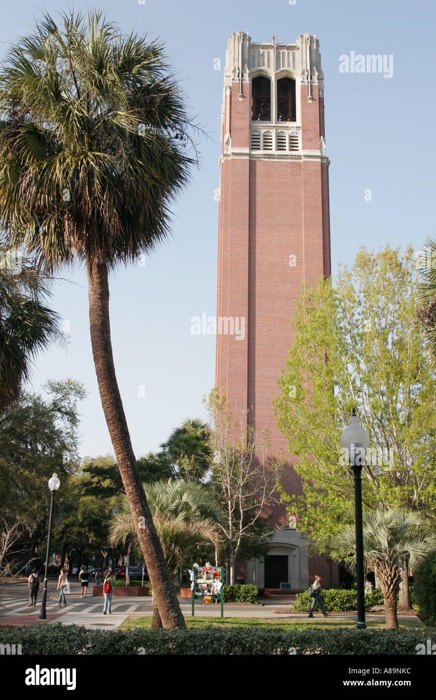 Gainesville Florida University of Florida Century Tower sabal palm