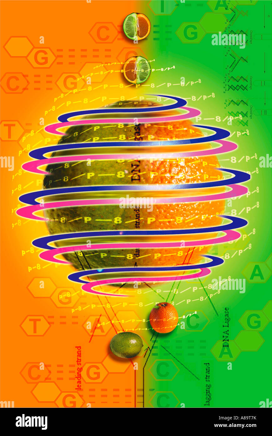 Fusion design hi-res stock photography and images - Alamy
