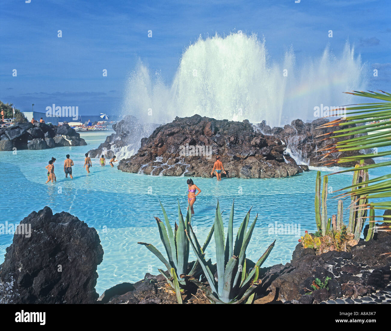 Lago Martianez,  Puerto de la Cruz,  Tenerife,  Canary Islands,  Spain. Stock Photo