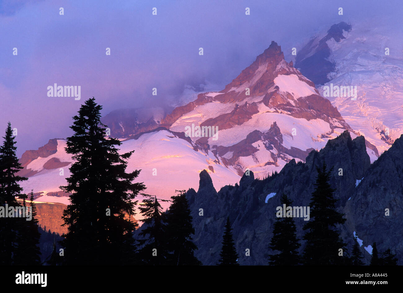 Sunrise on Little Tahoma Peak Mount Rainier National Park Washington