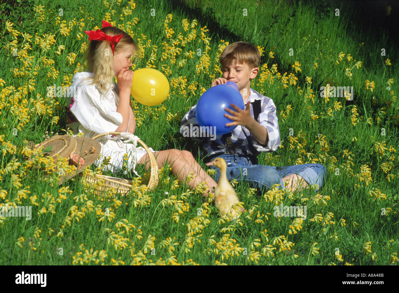 Boy and girl blowing up balloons with duck amid spring flowers in Sweden Stock Photo