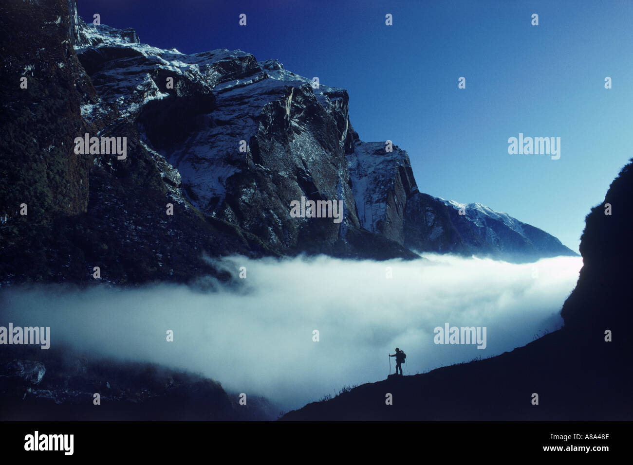 Hiker above clouds and below Macchipuchhare in Himalayas of Nepal Stock Photo