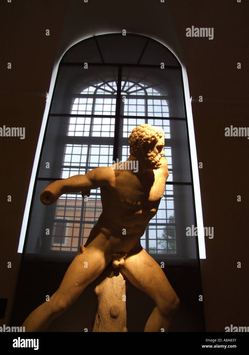 fighting herakles statue at the musei capitolini museum in rome Stock Photo