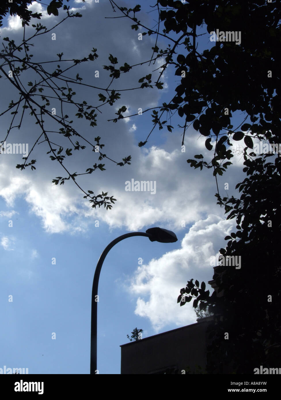 lamp post silhouette Stock Photo - Alamy