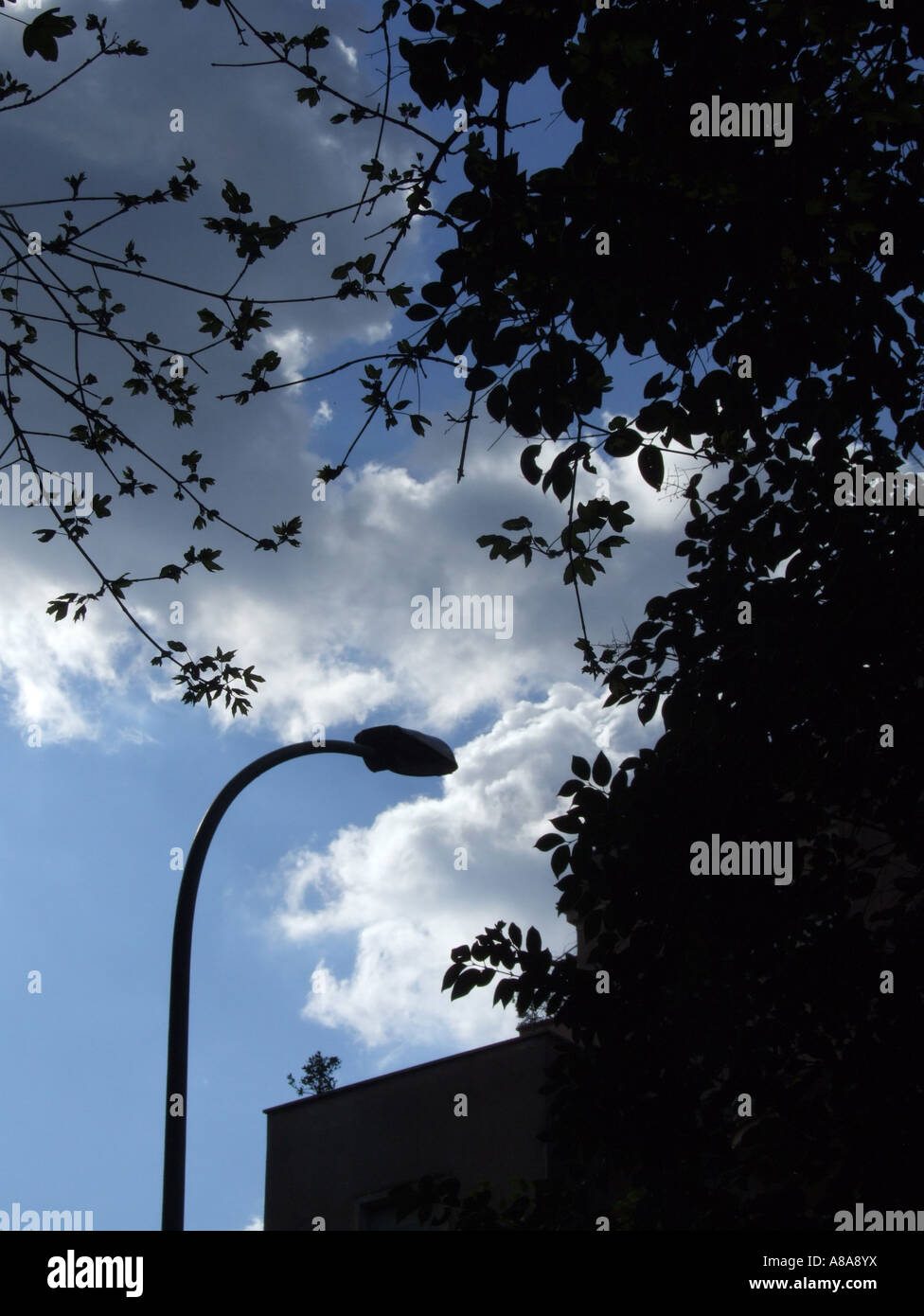 lamp post silhouette Stock Photo - Alamy