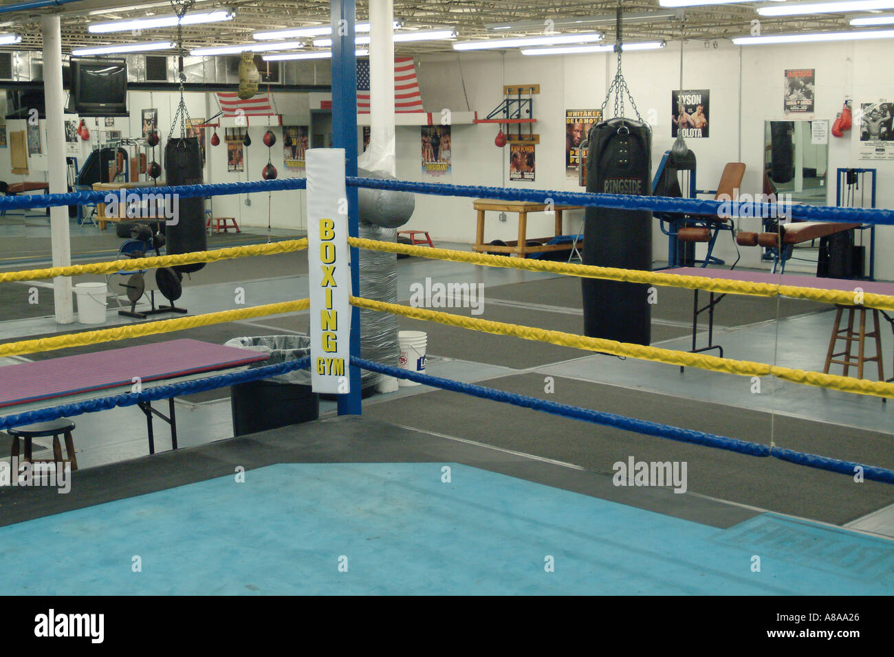 Empty Boxing Ring In Gym Stock Photo