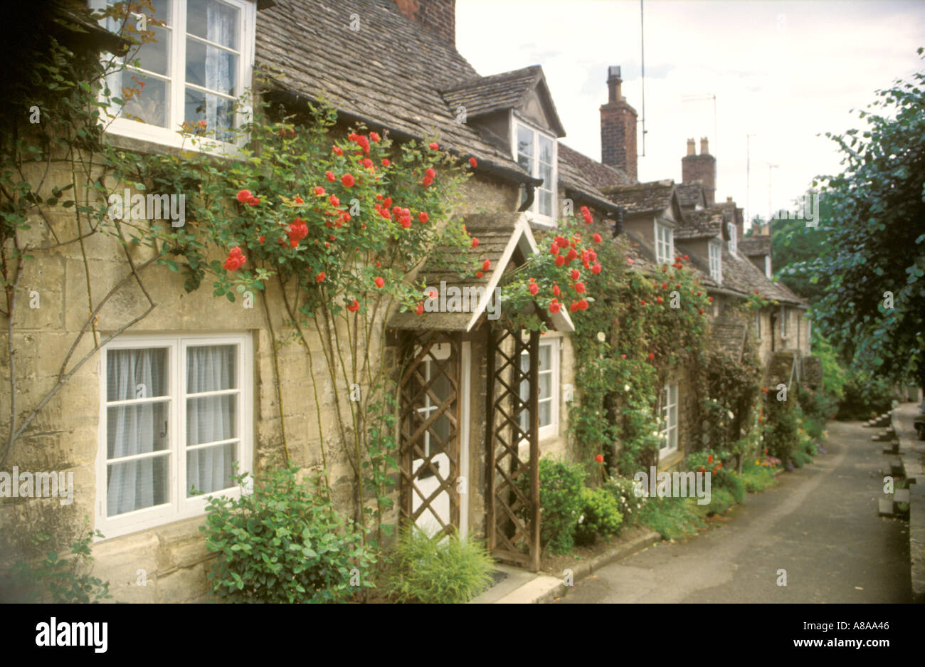 Cotswold cottages in Vineyard Street Cotswolds Stock Photo 567878 Alamy
