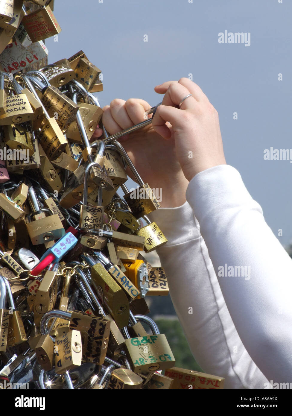 love locks on the milvio bridge in rome Stock Photo Alamy