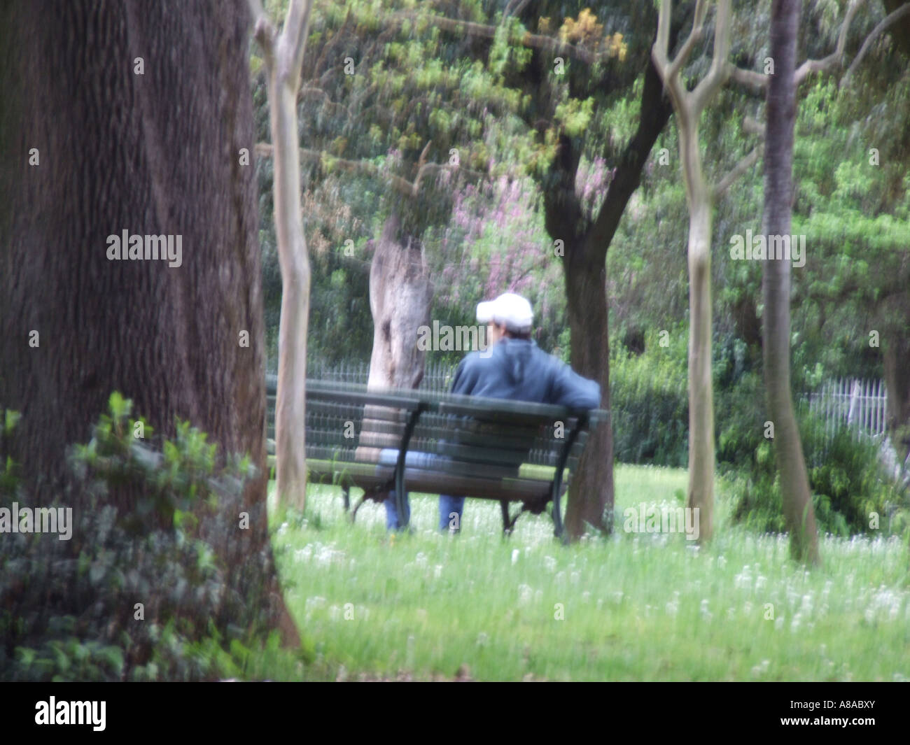 man sitting on bench in park Stock Photo - Alamy