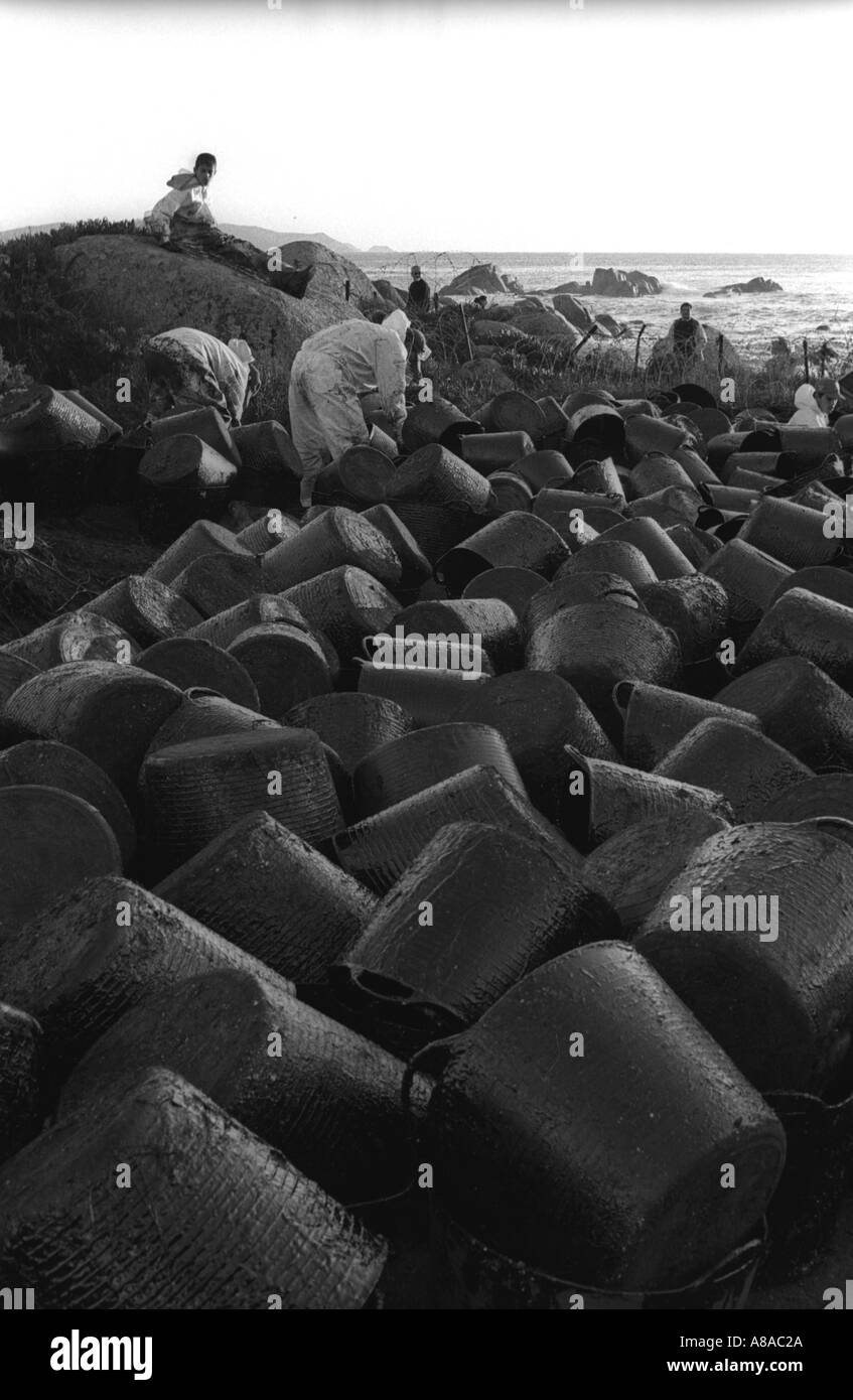 PRESTIGE OIL SPILL Buckets used by volunteers to carry recovered oil