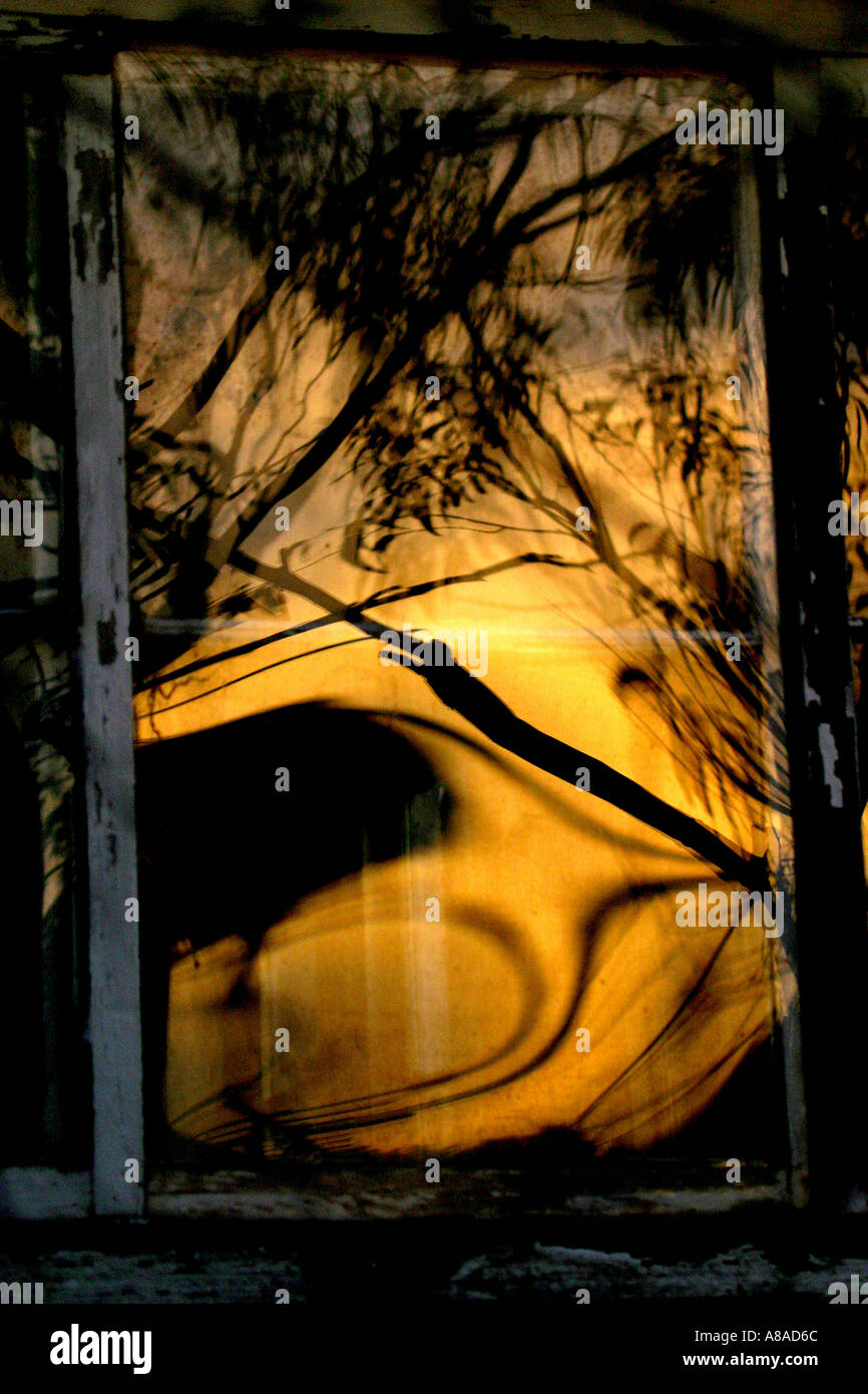 Sunset reflections Stock Photo