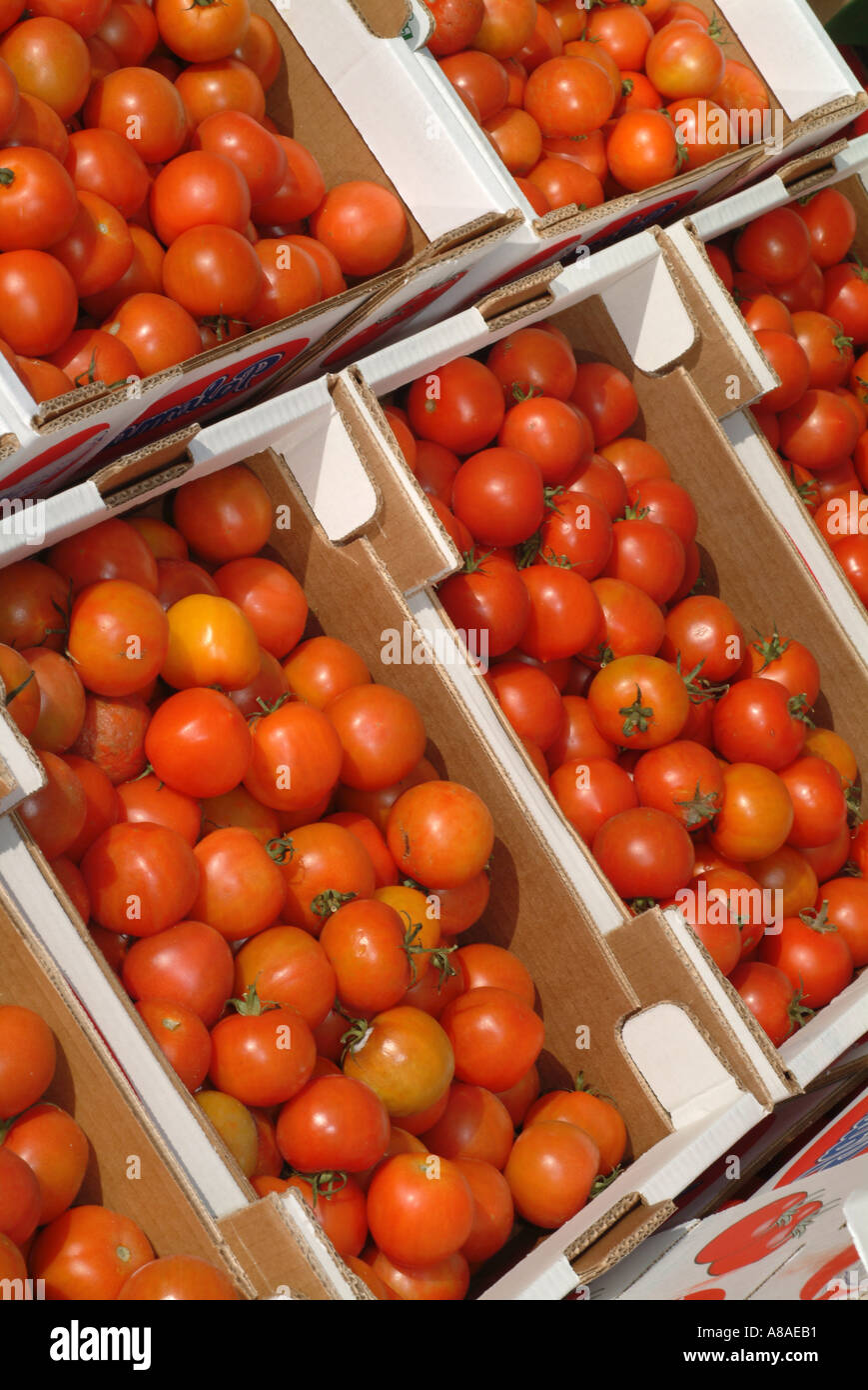red tomatos on market stall Stock Photo - Alamy