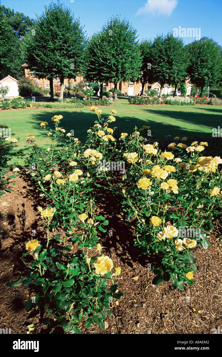 Welwyn garden city Stock Photo Alamy