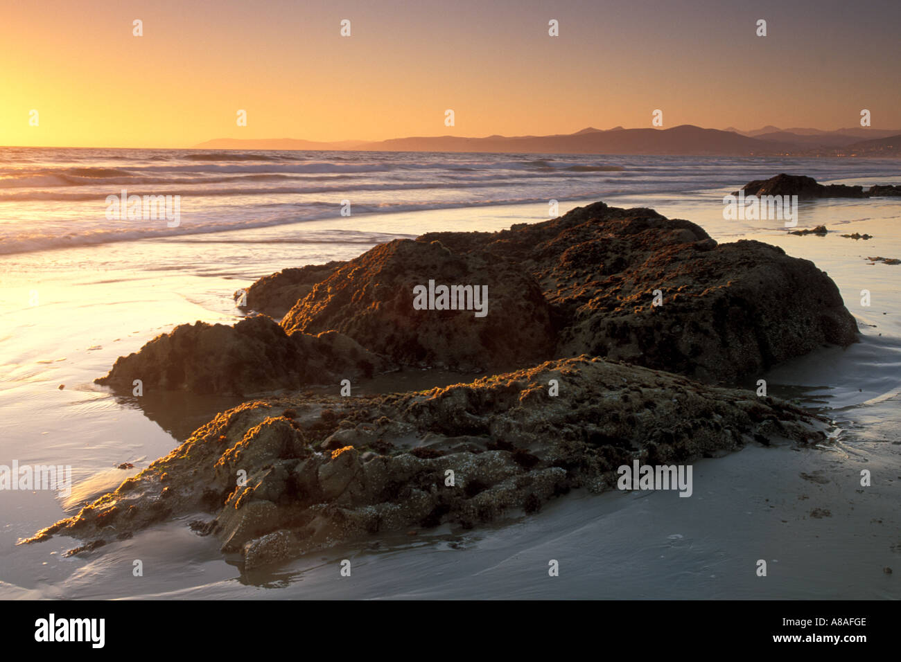 Coastal rocks at low tide in sand Morro Strand State Beach at sunset near Cayucos and Morro Bay California Stock Photo