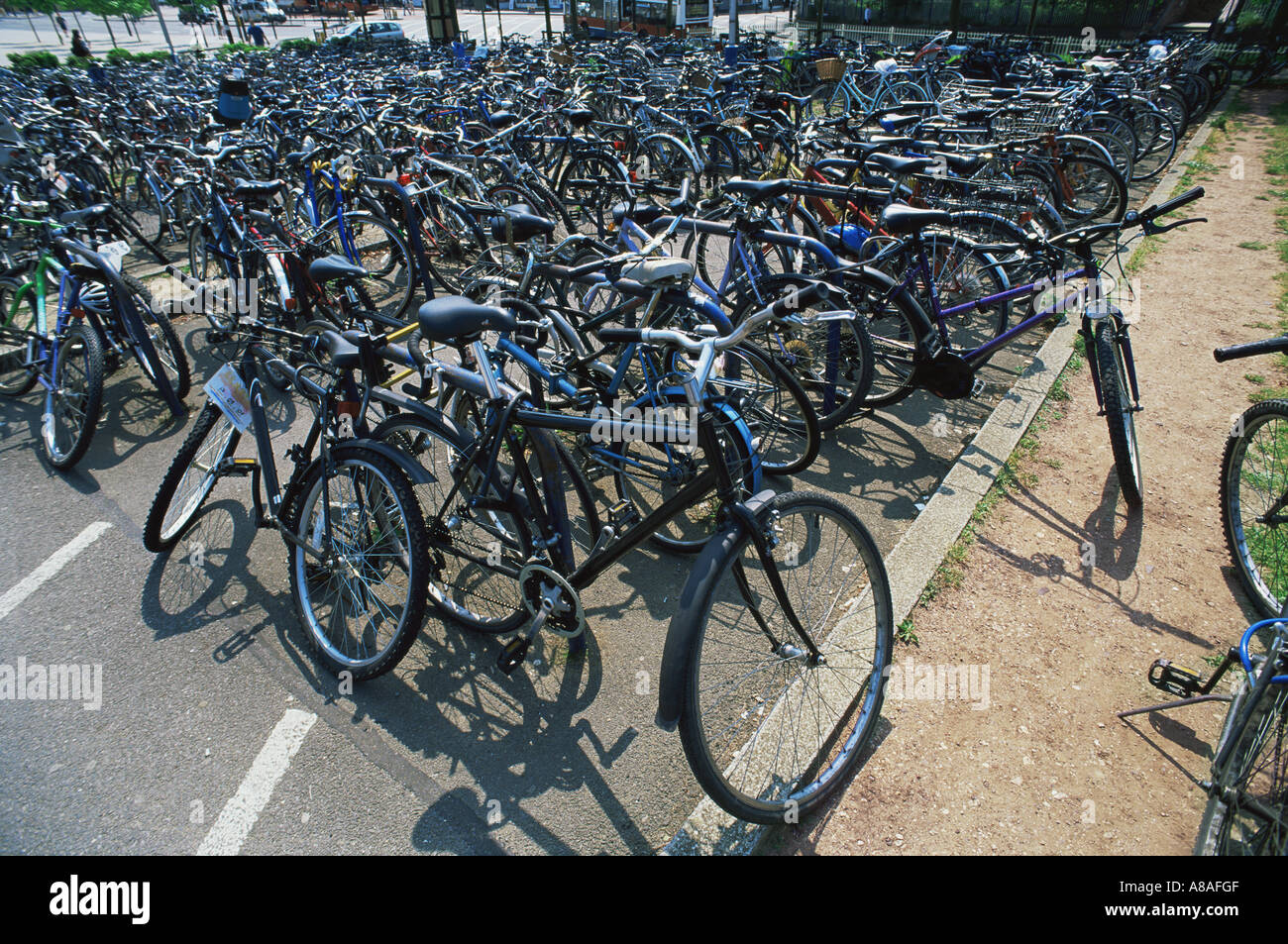 group of bicycles
