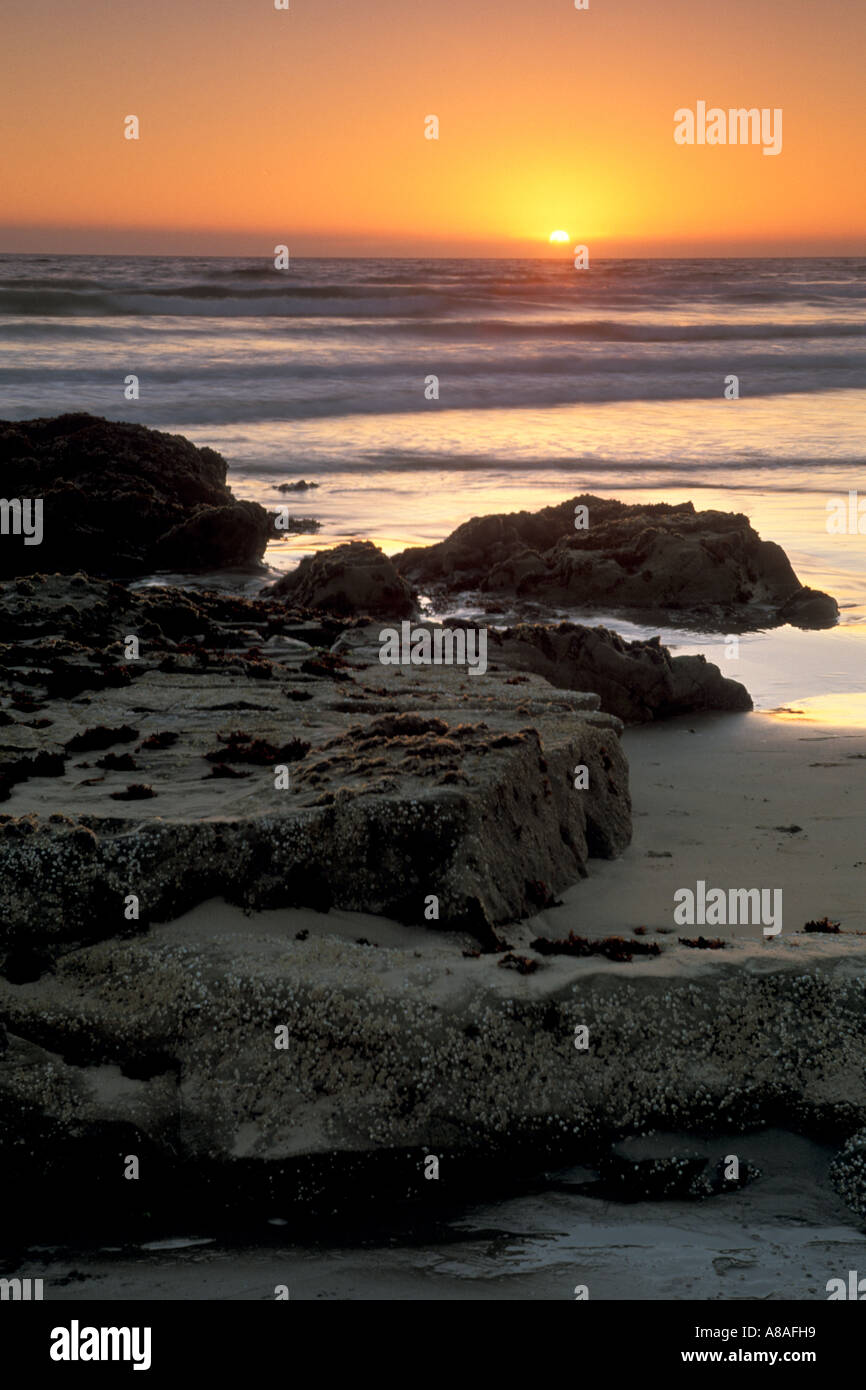 Coastal rocks at low tide in sand Morro Strand State Beach at sunset near Cayucos and Morro Bay California Stock Photo