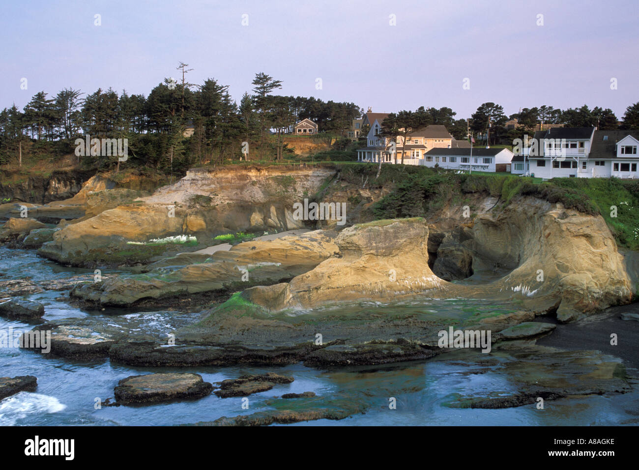 Morning light on houses and homes along rocky coastal bluffs at Depoe