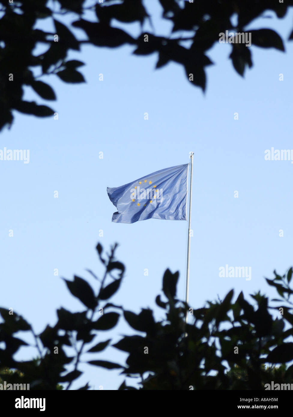 european union flag flying in the wind Stock Photo - Alamy