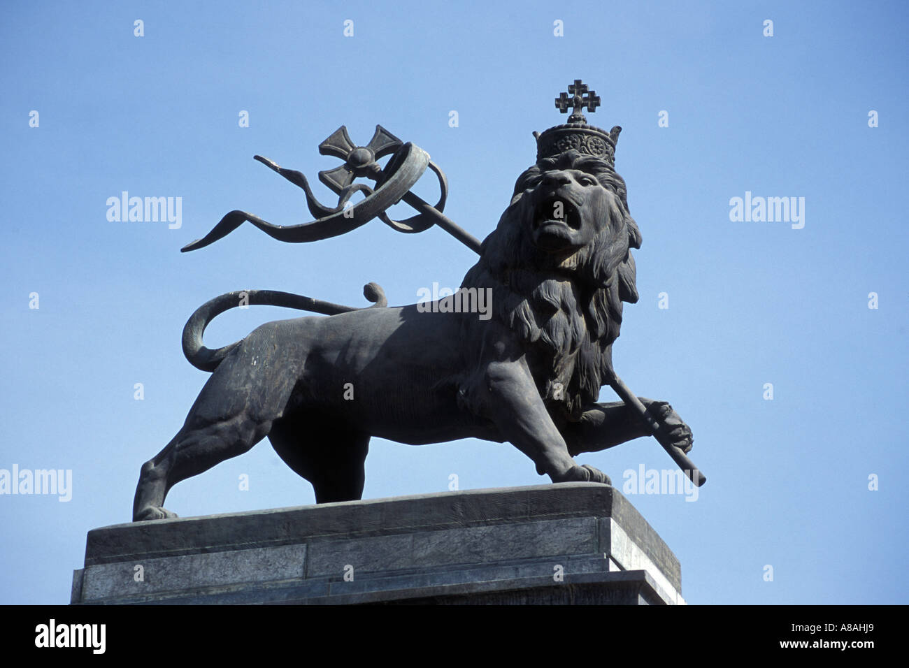 Lion of ethiopia hi-res stock photography and images - Page