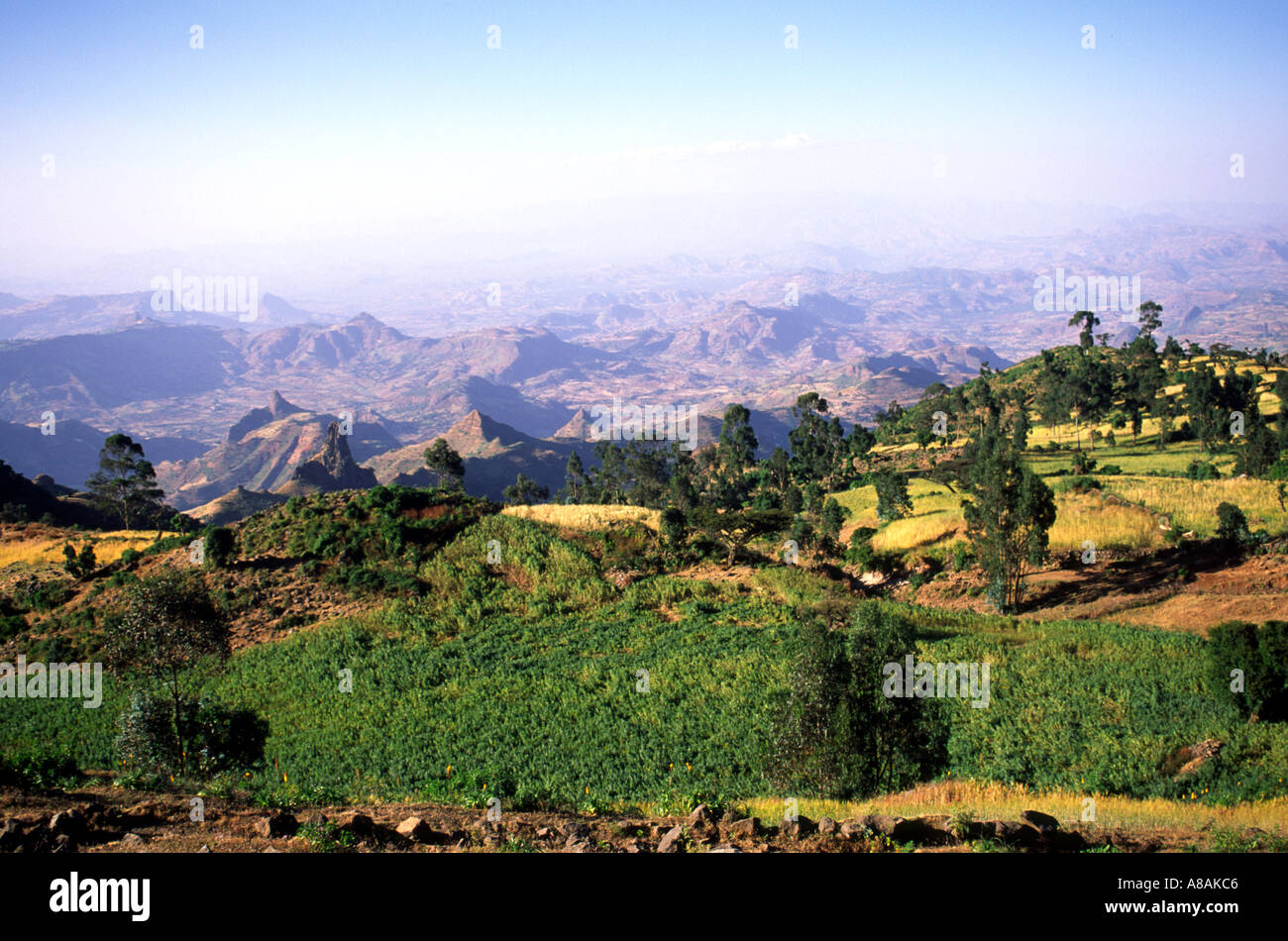 Abyssinia Highlands Stock Photos & Abyssinia Highlands Stock Images - Alamy