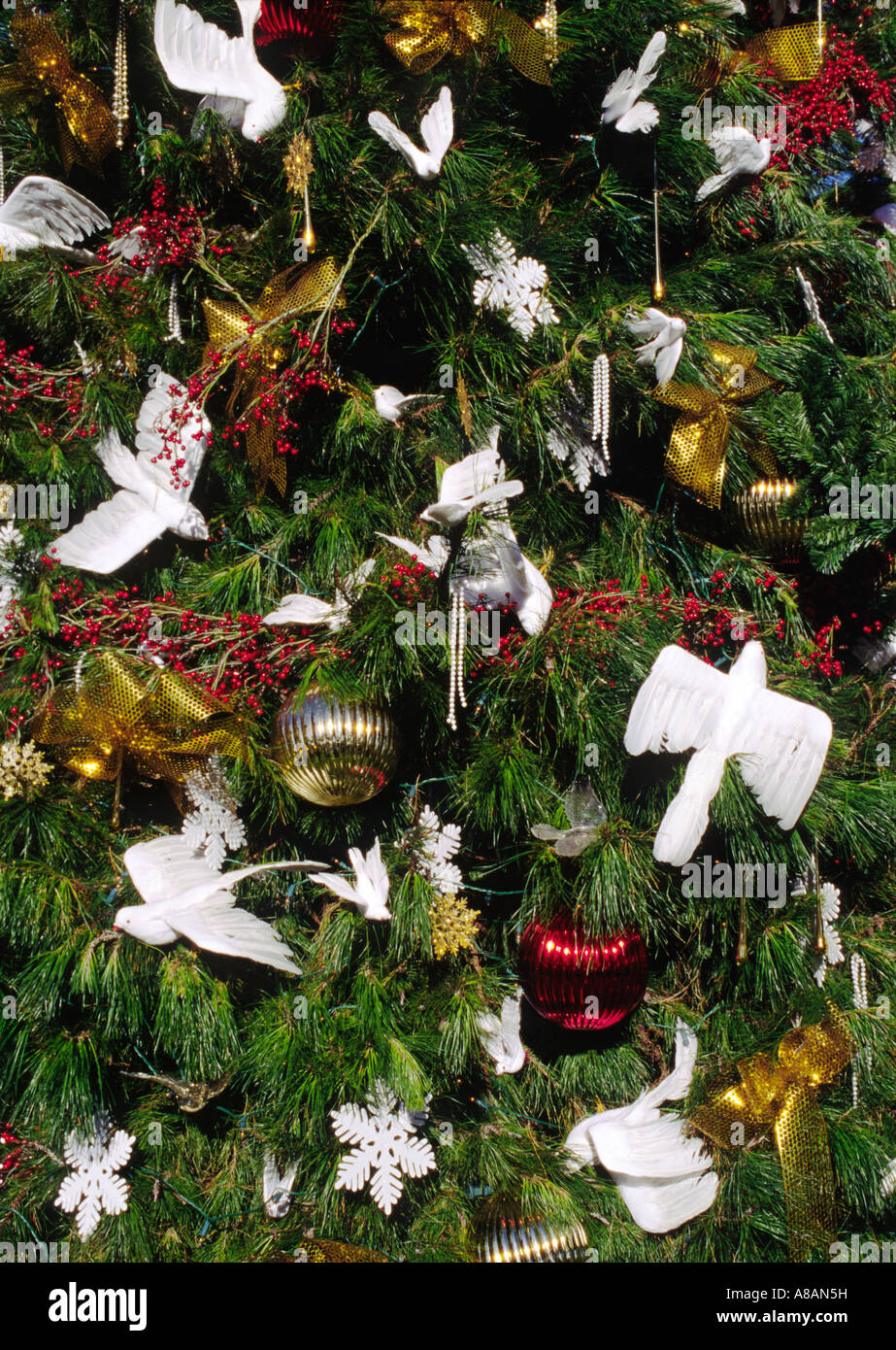 O Christmas Tree