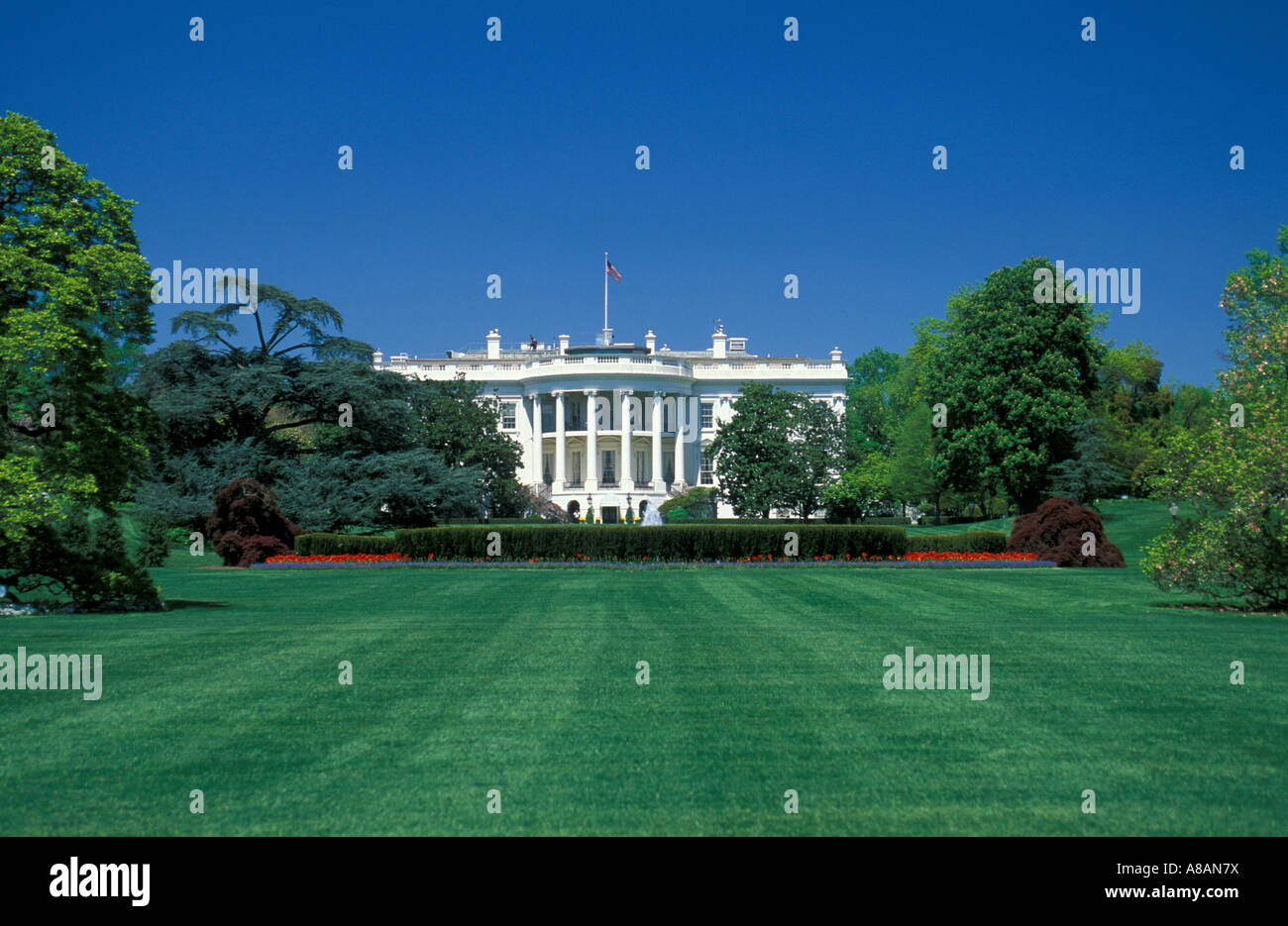 USA Washington DC lush green lawn carpets the South side of the White
