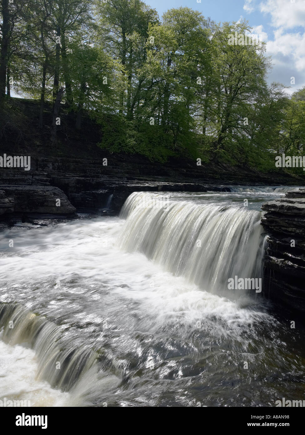 Aysgarth Falls in Wensleydale in the Yorkshire Dales in the United Kingdom Stock Photo