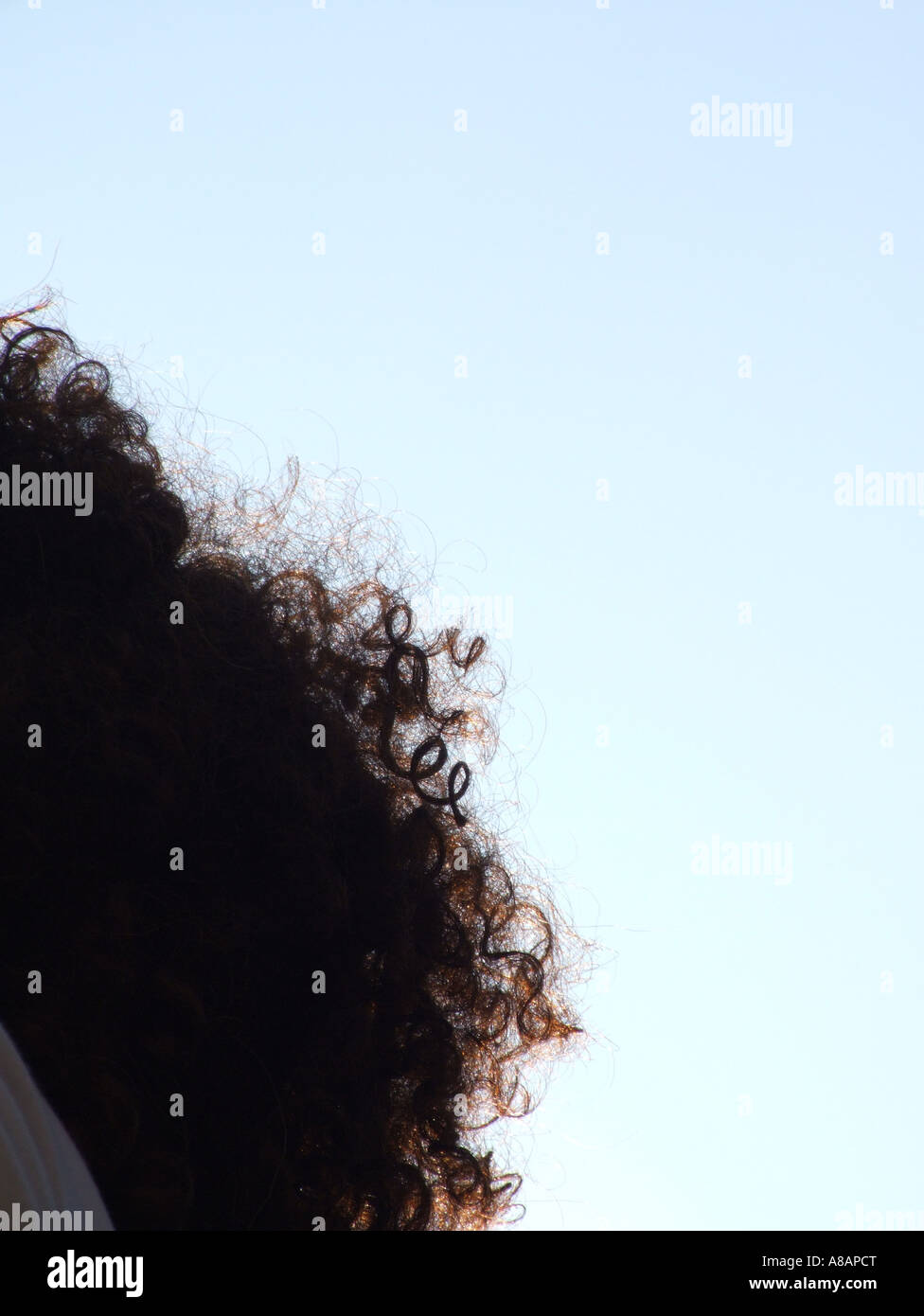Woman back view curly hair solitude hi-res stock photography and images ...