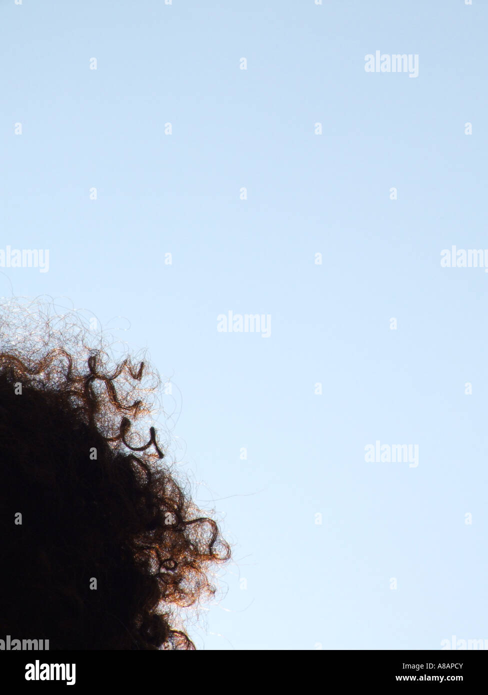 Woman back view curly hair solitude hi-res stock photography and images ...