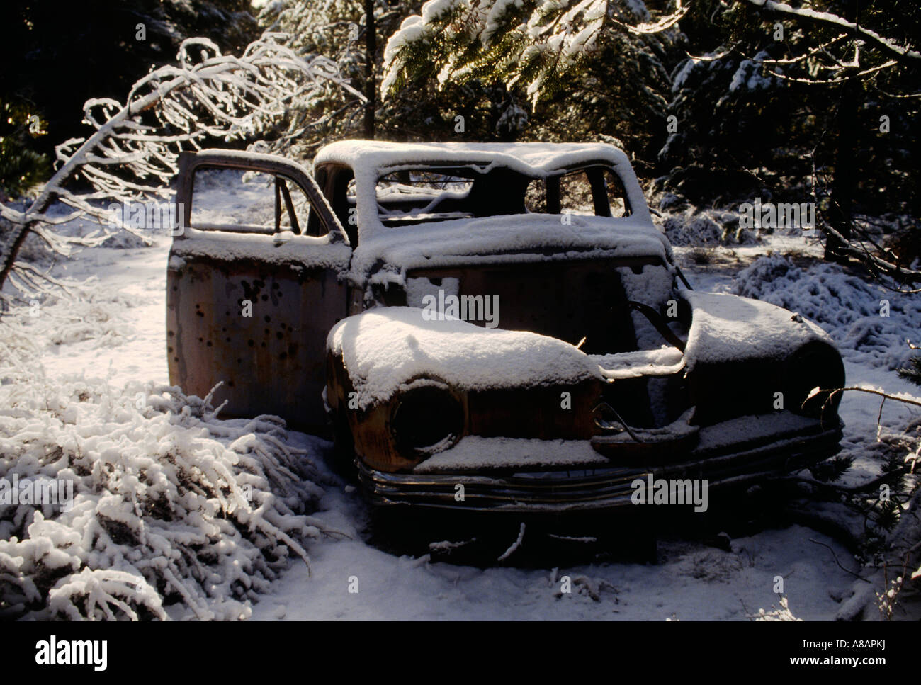 Abandoned vehicles woods hi-res stock photography and images - Alamy