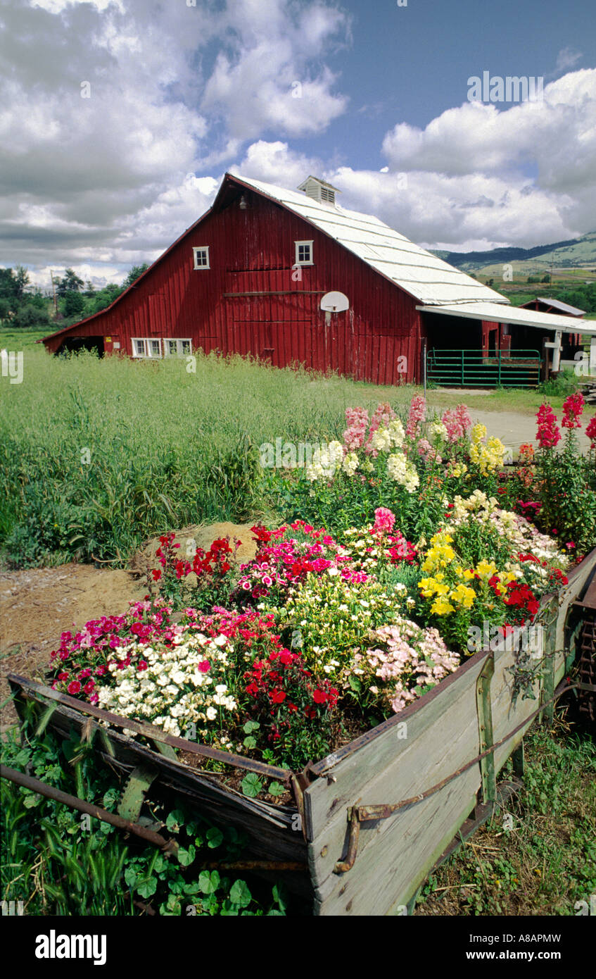 RED BARN FLOWERS OREGON FARM Stock Photo Alamy