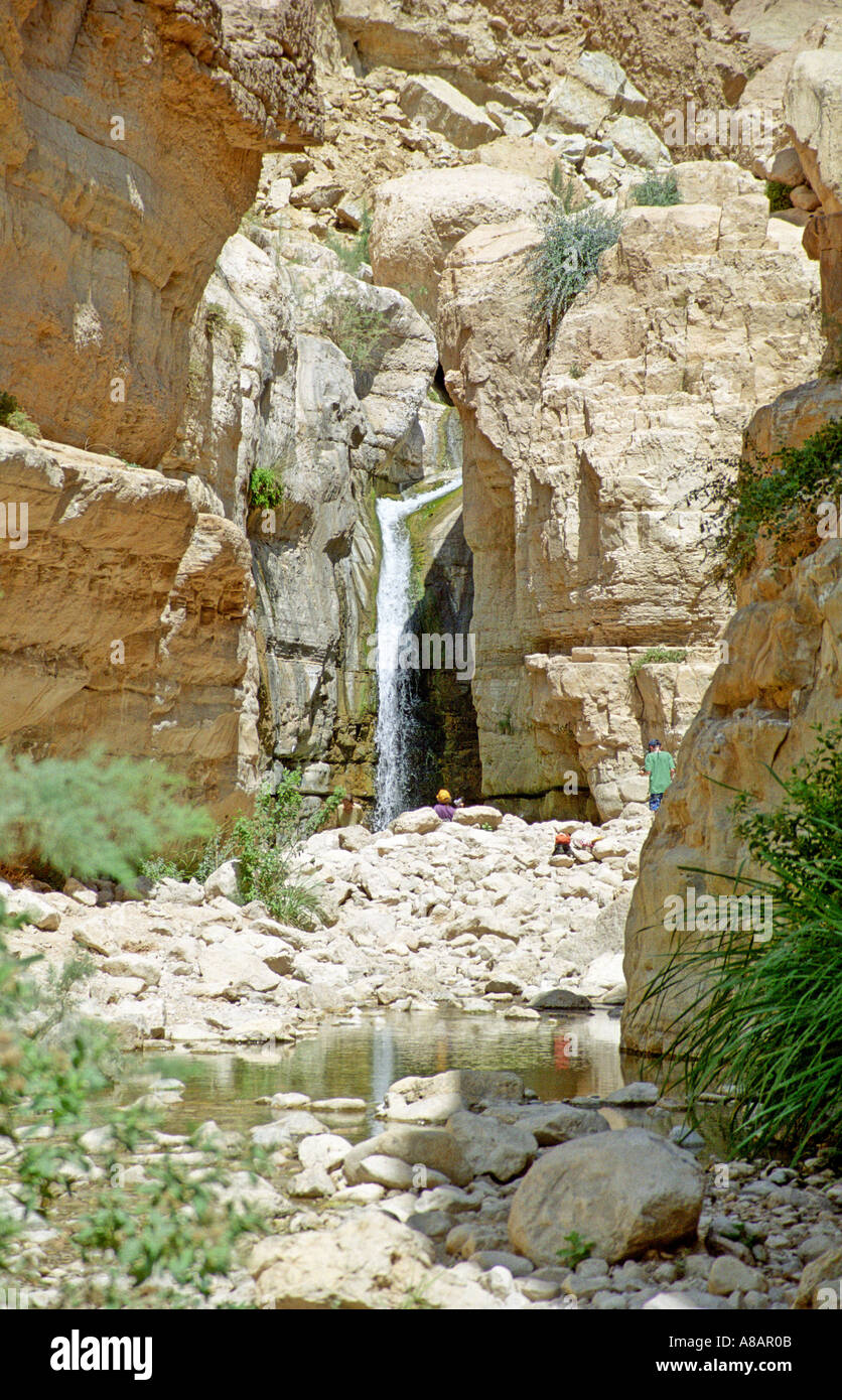 Ein Gedy Spring 2 Stock Photo