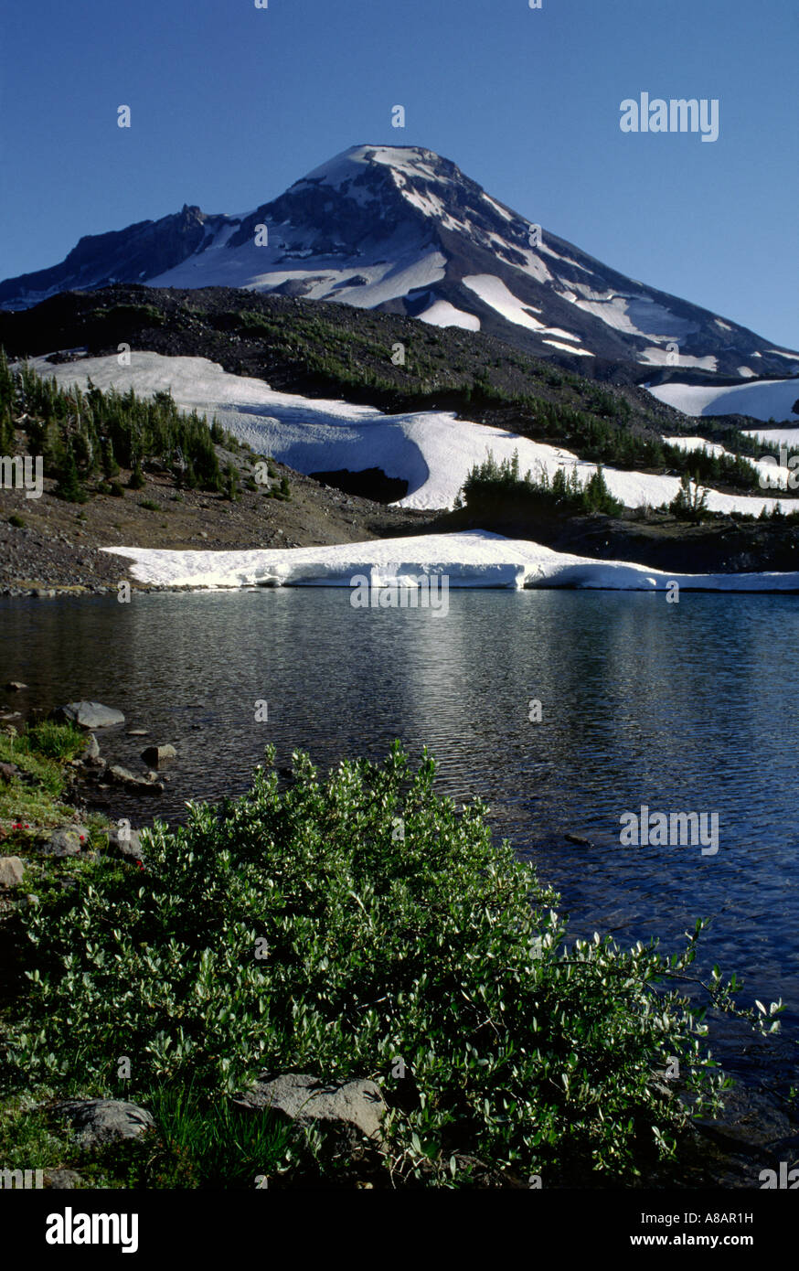 South Sister is reflected in Camp Lake in Three Sisters Wilderness Area in the Oregon Cascades Stock Photo