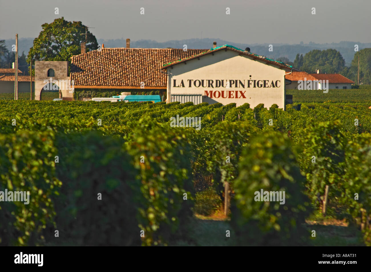Vineyard and Chateau Latour du Pin Figeac (Moueix), as it is called, in Saint Emilion, another Moueix family property, Bordeaux Stock Photo